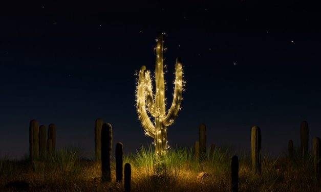 5 Innovative B2B Vacation Promoting Ideas & Examples