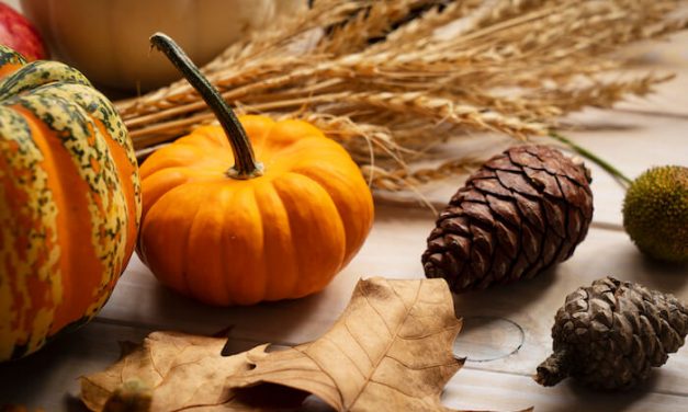 23 Correctly Worded Thanksgiving Greetings & Messages