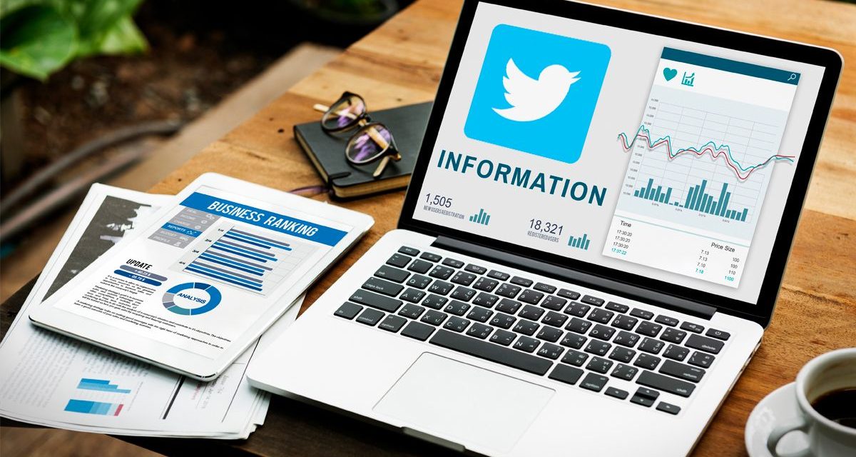 6 Steps to Conduct a Profitable Twitter Audit
