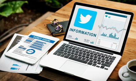 6 Steps to Conduct a Profitable Twitter Audit