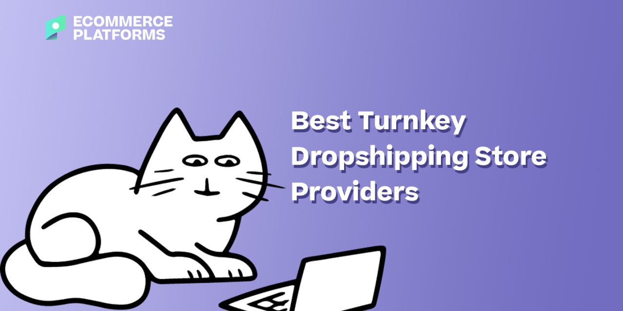 Turnkey Dropshipping Store Providers: A Quick Guide