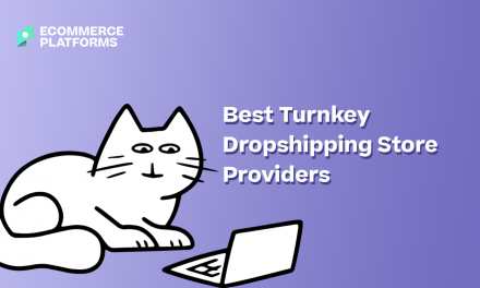 Turnkey Dropshipping Store Providers: A Quick Guide