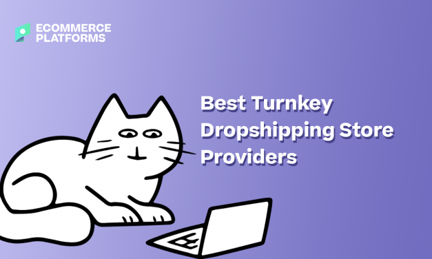 Turnkey Dropshipping Store Providers: A Quick Guide