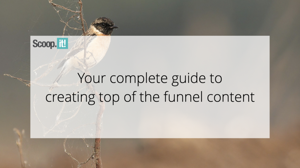 Your Full Manual to Making Top of the Funnel Material