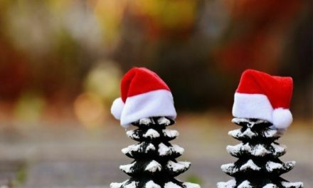 11 Holiday Emails for Customers (Templates & Examples!)