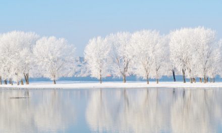 43+ Creative January Marketing Ideas to Start the Year Right