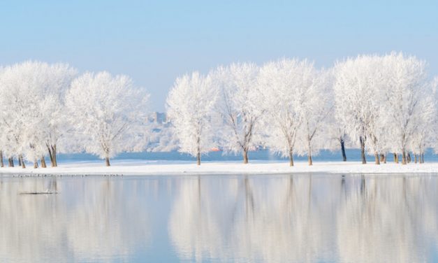 43+ Creative January Marketing Ideas to Start the Year Right