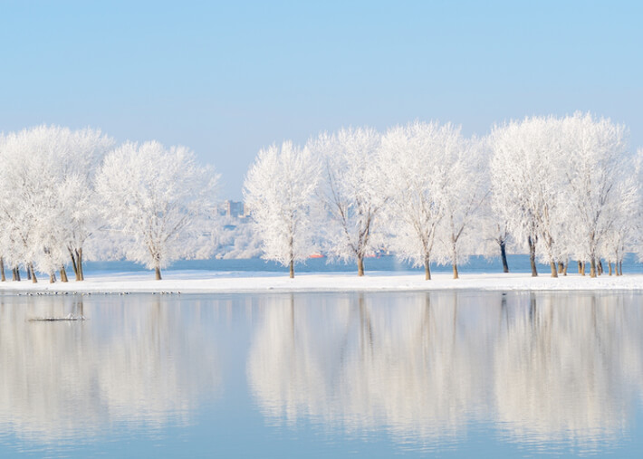 43+ Creative January Marketing Ideas to Start the Year Right