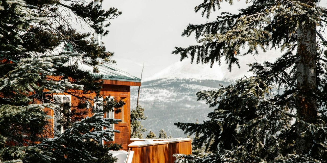 Weekend Favs – xTiles, Heyday, Mindstamp