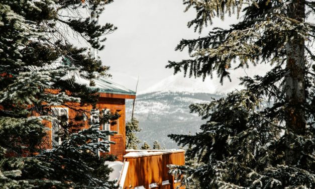 Weekend Favs – xTiles, Heyday, Mindstamp