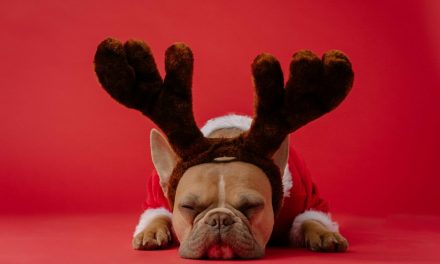 Weekend Favs – Chatsonic, Chron, and Readitfor.me