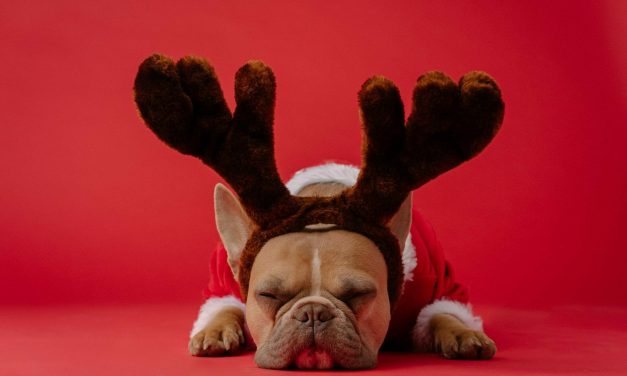 Weekend Favs – Chatsonic, Chron, and Readitfor.me