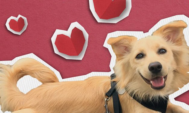 5 Strategies for Making Great Valentine’s Day Information for Social Media