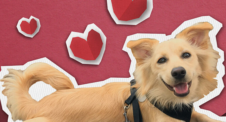 5 Strategies for Making Great Valentine’s Day Information for Social Media