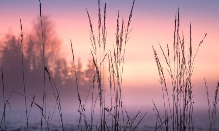 47 Creative February Marketing Ideas (Beyond Valentine’s Day!)