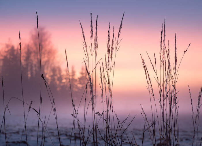 47 Creative February Marketing Ideas (Beyond Valentine’s Day!)