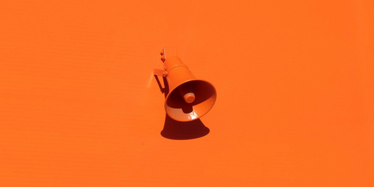 How To Make Your Model Voice