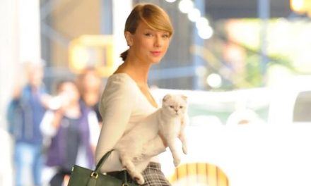 Taylor Swift’s Cat Is Really worth $97 Million – World’s Richest Animals