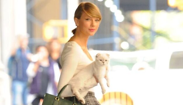 Taylor Swift’s Cat Is Really worth $97 Million – World’s Richest Animals