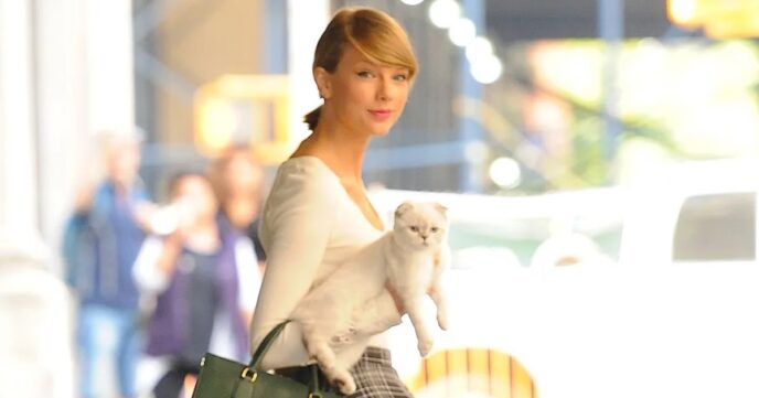 Taylor Swift’s Cat Is Really worth $97 Million – World’s Richest Animals