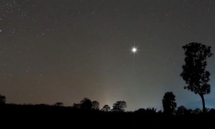 How Merchandise Managers Can Impact A Company’s North Star | by Shubhansha Agrawal