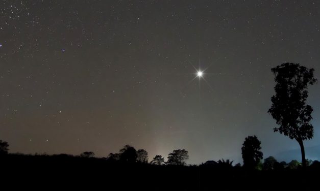 How Merchandise Managers Can Impact A Company’s North Star | by Shubhansha Agrawal