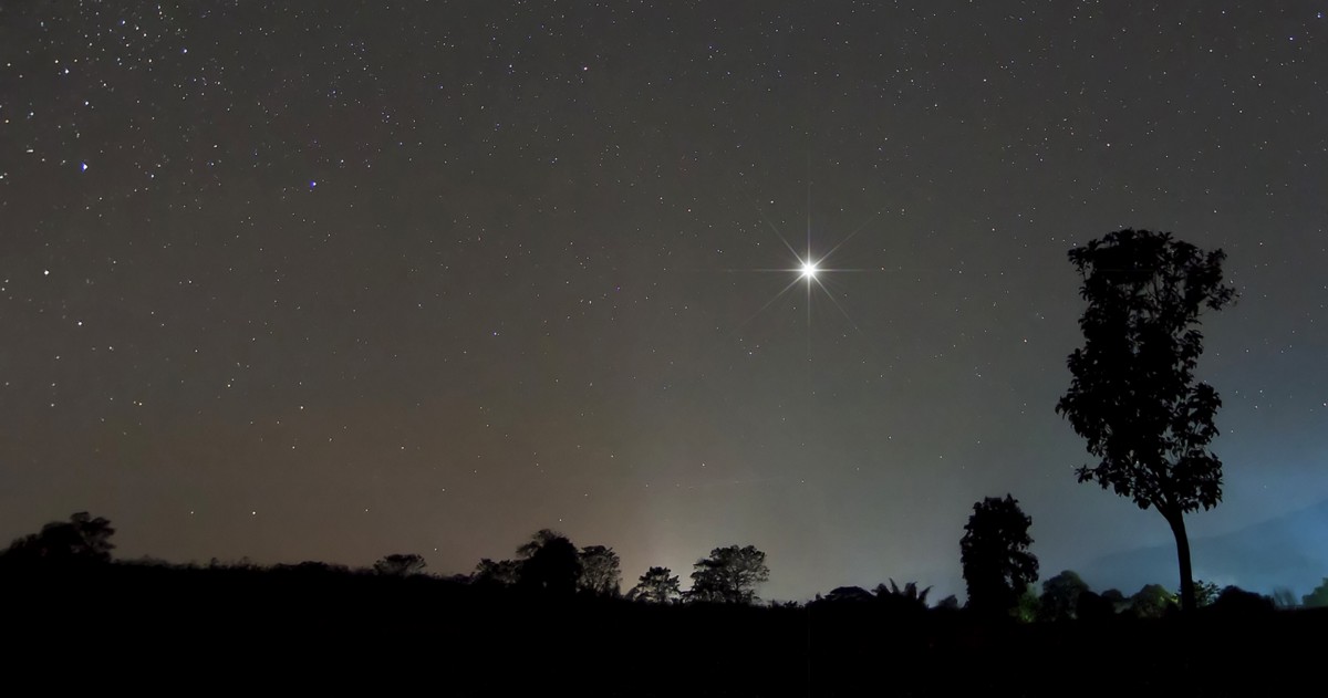 How Merchandise Managers Can Impact A Company’s North Star | by Shubhansha Agrawal