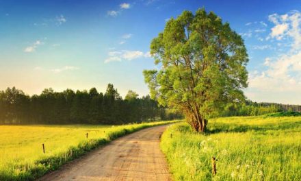 Why (& How) to Established Up Conversion Paths in Google Analytics (Properly!)