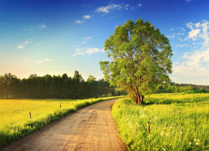 Why (& How) to Established Up Conversion Paths in Google Analytics (Properly!)