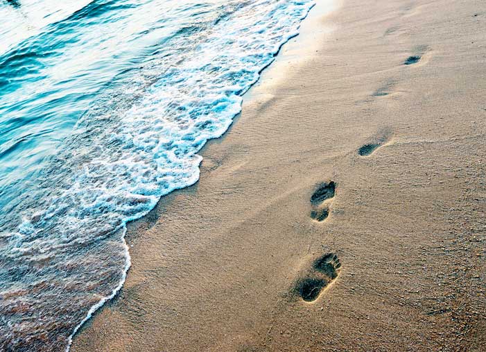 6 Prevalent Issues to Prevent