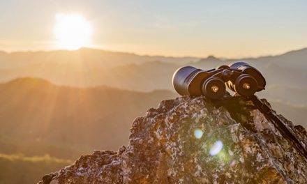 How to Get Discovered On the internet: Our Top rated 9 Guidelines for Regional Provider Firms