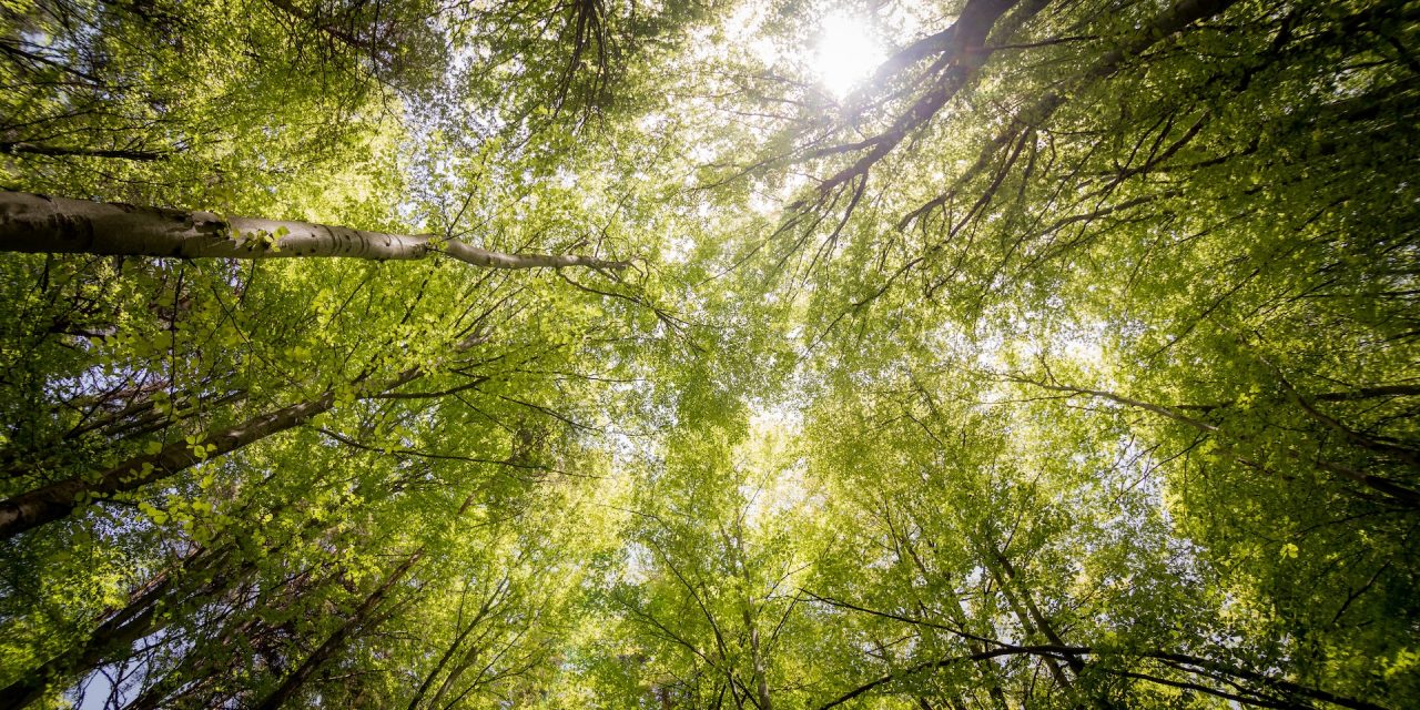 6 methods inflation has impacted the affiliate marketing industry | Awin | Open Mic