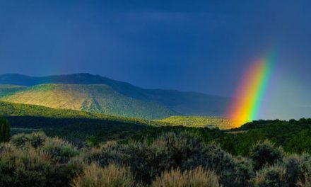 54 Perfect St. Patrick’s Day Instagram Captions (Cliche-Free List!)