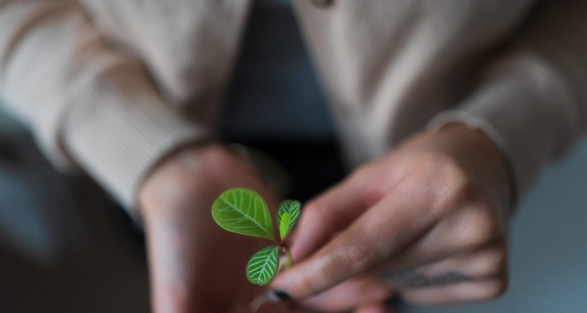 Empathy: An Vital Tender Ability for Solution Professionals | by Luke Grimstrup | Apr, 2023