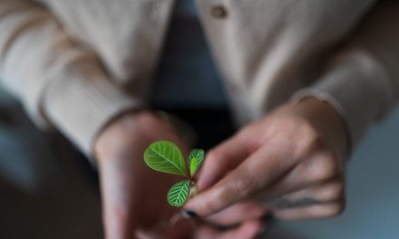 Empathy: An Vital Tender Ability for Solution Professionals | by Luke Grimstrup | Apr, 2023