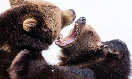 Negotiate the Trouble, Not the Methods | by Noa Ganot | Apr, 2023