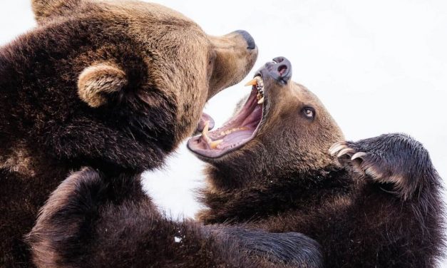 Negotiate the Trouble, Not the Methods | by Noa Ganot | Apr, 2023