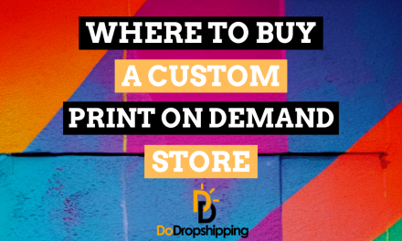 Where to Buy a Custom Print on Demand Store? (Premade)
