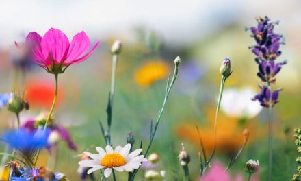 90+ May Marketing Ideas for Any Business or Budget