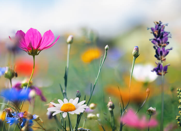 90+ May Marketing Ideas for Any Business or Budget