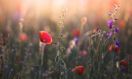 50+ Mother’s Day Instagram Captions (Plus a Word List!)