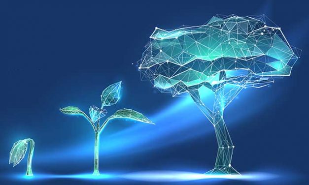 How to Scale Results in Google Ads (& A lot more Importantly, When)