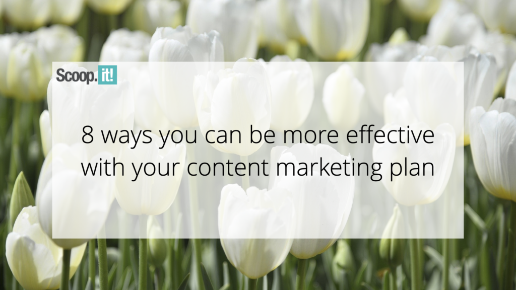 8 Ways You Can Be Far more Powerful With Your Written content Internet marketing Strategy