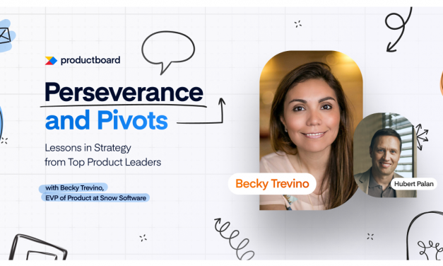 From Software to Should-Have Platform: Approaches and Lessons
