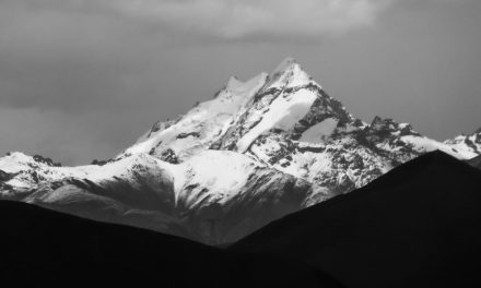 Weekend Favs – Scribe AI, Munch, and Watson Campaign Automation