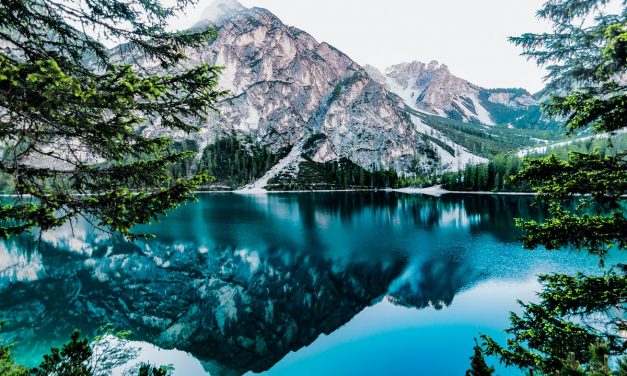 Becoming a Transcendent Chief: A Personal Journey | by Keren Koshman | Jun, 2023