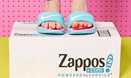 Providing Pleasure: Zappos’ Core Values and the Power of Shopper Knowledge | by Navneet Maheshwari | Jun, 2023