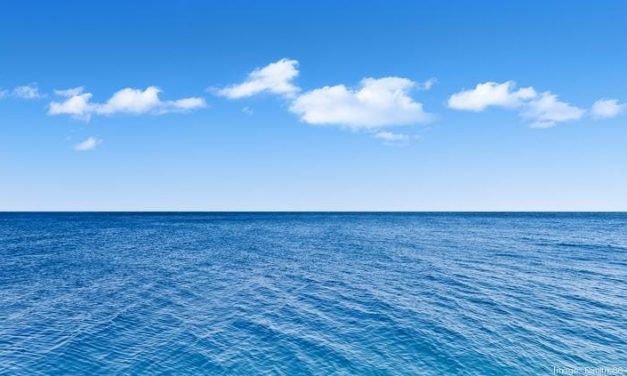 Seizing the Blue Ocean: The Electrical power of Micro-Supply Primarily based On Mastering Prospects | by Keren Koshman | Jun, 2023