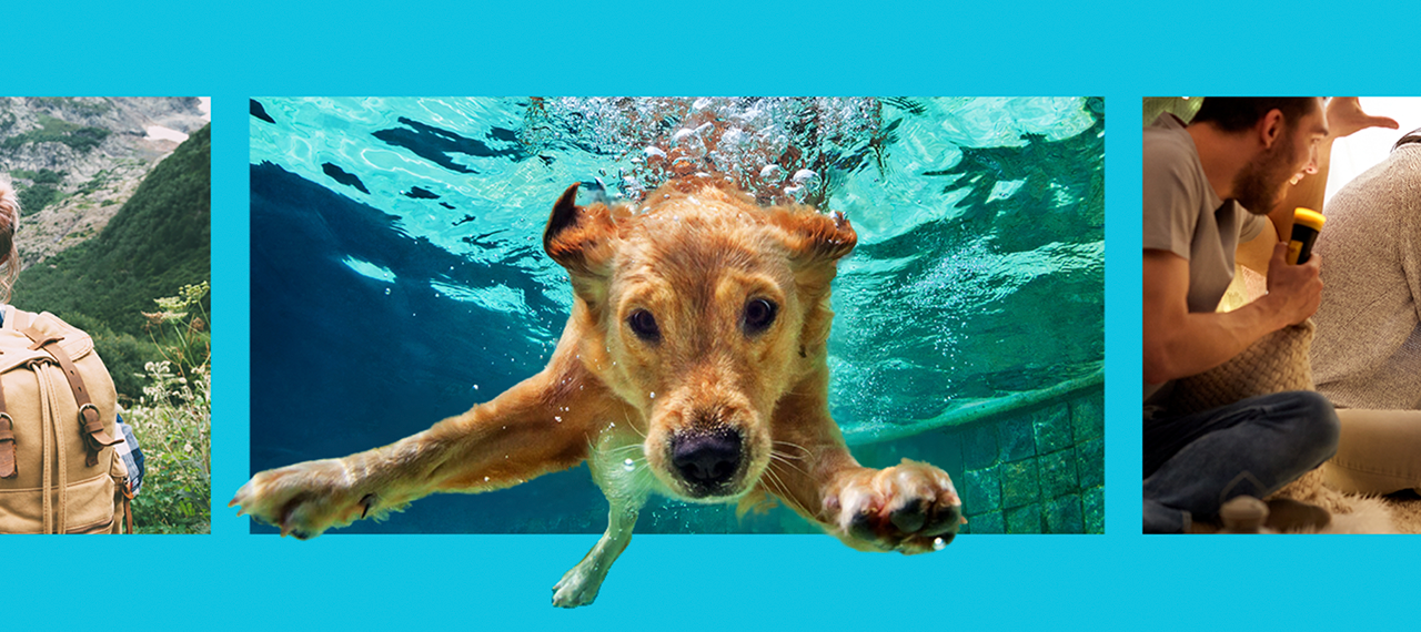 Heat Up Your Video clip Advertising and marketing Activity with Lemonlight’s Summer season Promo