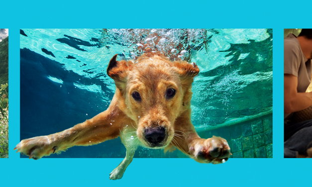 Heat Up Your Video clip Advertising and marketing Activity with Lemonlight’s Summer season Promo